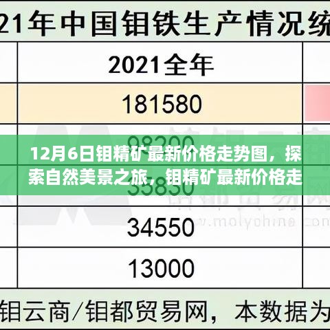 探索自然美景之旅，揭秘钼精矿最新价格走势背后的力量与宁静