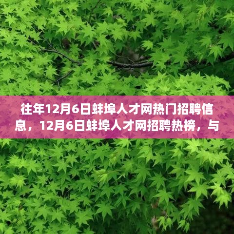 12月6日蚌埠人才网招聘热榜，与自然美景同行，寻找理想职业与内心宁静之旅