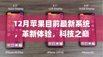 揭秘苹果最新系统，重塑十二月智能生活的科技巅峰体验
