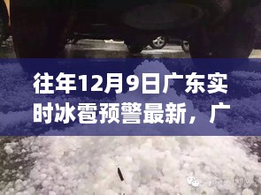 广东冰雹预警纪实，气象挑战下的紧急应对