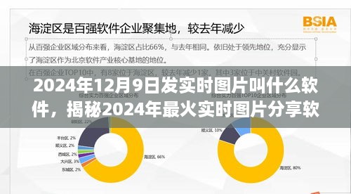 2024年12月9日 第4页