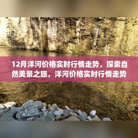 12月洋河价格实时行情与探索自然美景的宁静之旅