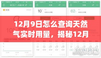 揭秘，如何精准查询12月9日天然气实时用量及多维度解读方法