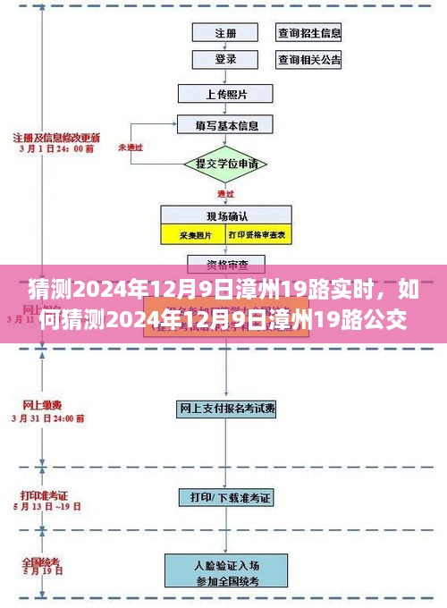 漳州公交19路实时到站预测指南，初学者到进阶用户指南（预测日期，2024年12月9日）