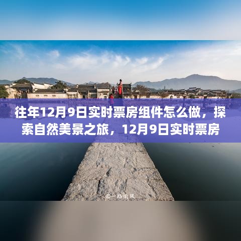 探索自然美景之旅与实时票房背后的故事，启程寻找内心的宁静与往年12月9日的票房探索