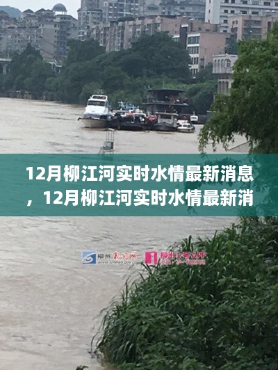 12月柳江河实时水情深度解析与应对策略，最新消息及水情变化探讨