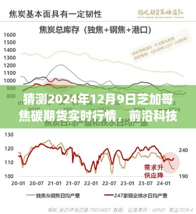 2024年12月10日 第51页