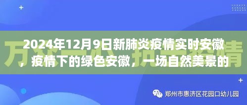 安徽绿色美景治愈之旅，疫情下的绿色安徽实时报道（2024年12月9日）