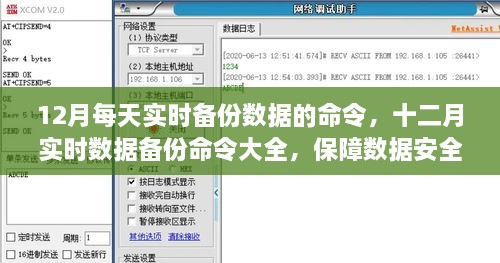 十二月实时数据备份命令大全，保障数据安全无忧的每日备份指南