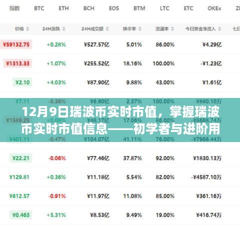 2024年12月10日 第46页