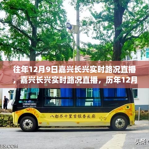 历年与今日对比，嘉兴长兴实时路况直播回顾与交通实况深度解析（12月9日）