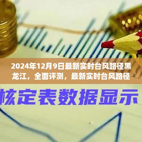 2024年12月9日黑龙江台风路径实时更新，精准气象服务体验全面评测