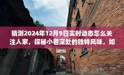 探秘小巷深处，捕捉惊喜动态，关注2024年12月9日实时动态之旅