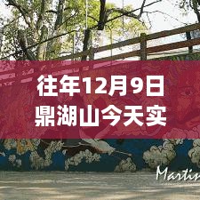 鼎湖山12月9日实时情况回顾，独特魅力与影响当日览胜