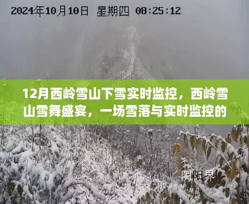 西岭雪山雪舞盛宴，实时监控下的冬日雪落传奇