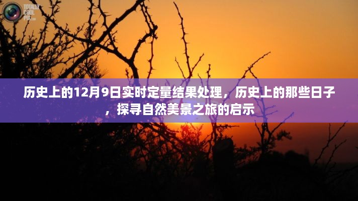 探寻自然美景之旅启示，历史上的日子与实时定量结果处理回顾