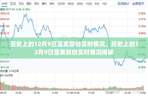 2024年12月10日 第33页