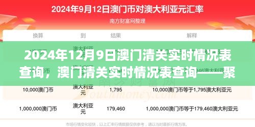 2024年12月9日澳门清关实时情况表，聚焦当日特殊观察