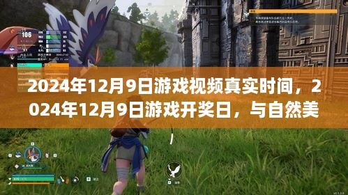 游戏视频真实时间，与自然美景的邂逅之旅——2024年12月9日游戏开奖日