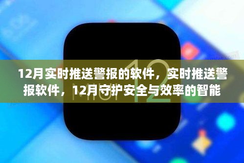 2024年12月10日 第29页