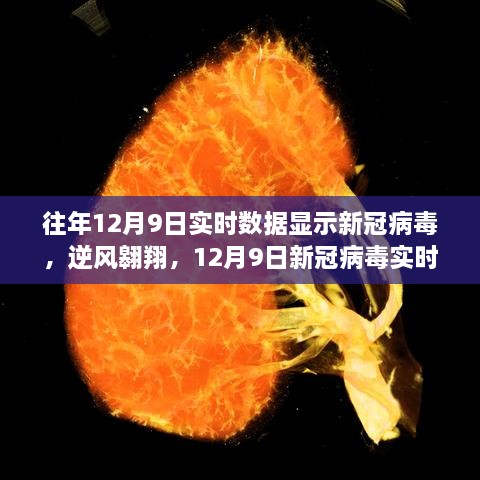 12月9日新冠病毒实时数据的启示，逆风翱翔中的病毒观察与洞察