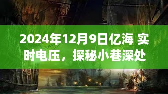 探秘亿海实时电压下的电力宝藏，小巷深处的独特小店时光纪实（2024年12月9日）