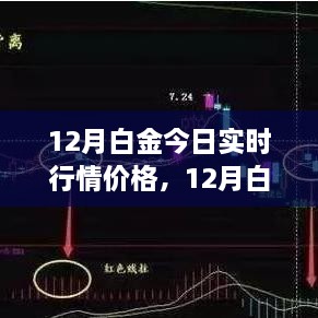 12月白金实时行情价格解析，查看与行情分析指南