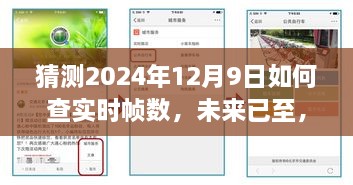 揭秘未来体验，2024年实时帧数查看新方式，预测未来查看帧数新趋势！