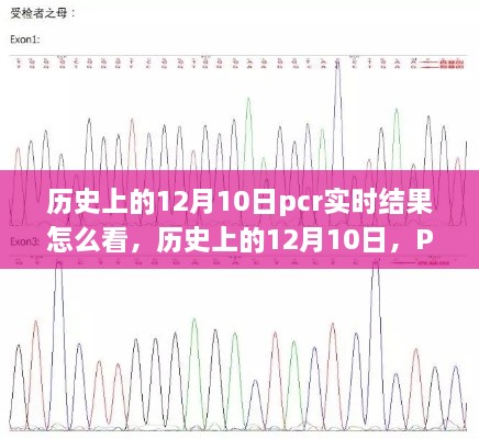 历史上的12月10日，PCR实时结果的解读里程碑