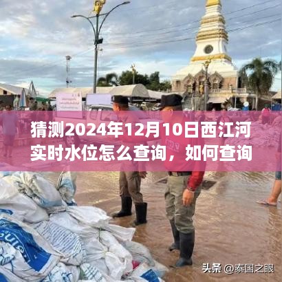 如何查询西江河2024年12月10日实时水位，详细步骤指南及水位预测参考