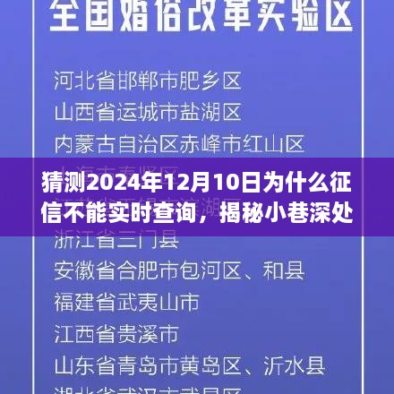 揭秘小巷深处的特色小店，探寻为何征信不能实时查询背后的故事与秘密——以2024年12月10日为时间节点观察分析