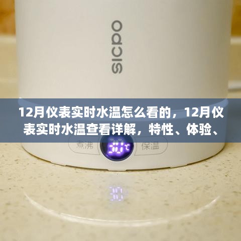 详解12月仪表实时水温查看，特性、体验、竞品对比及用户分析全攻略