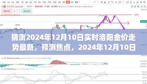 2024年12月10日洛阳金价走势预测及分析