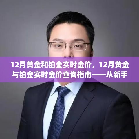 全方位教程，从新手到进阶用户，查询12月黄金与铂金实时金价的指南