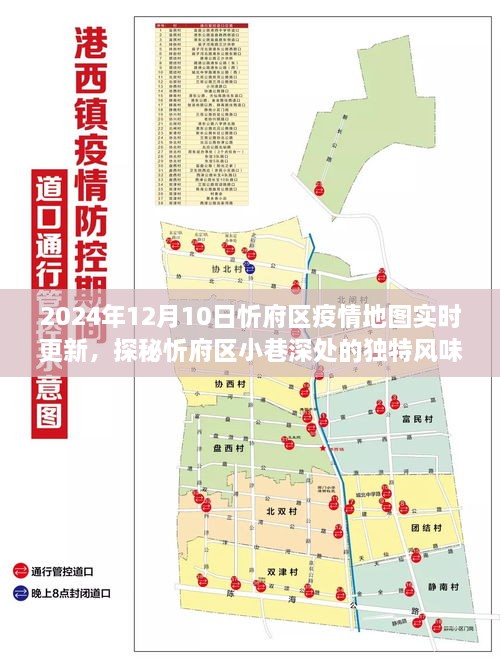 2024年12月10日 第16页