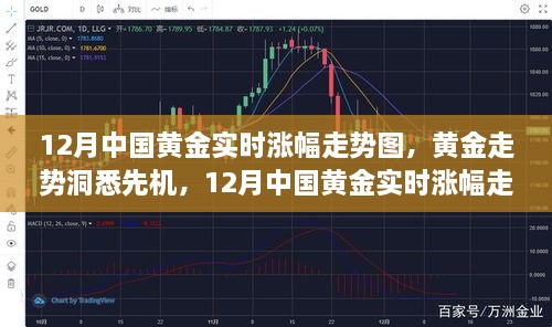 12月中国黄金实时涨幅走势图，洞悉黄金市场先机与全面评测