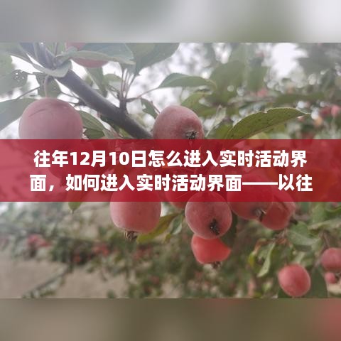 往年12月10日实时活动界面进入详解，步骤指南与操作技巧