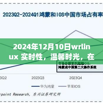 2024年12月10日 第14页