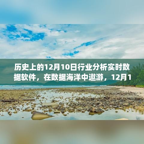 12月10日软件行业分析实时数据，数据海洋中的奇遇记