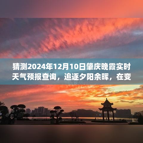 2024年12月10日 第12页