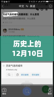 历史上的12月10日，Vico翻译工具诞生记与温馨故事回顾