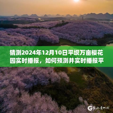 2024年12月10日 第10页