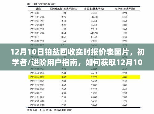 12月10日铂盐回收实时报价表图片指南，初学者与进阶用户获取报价攻略