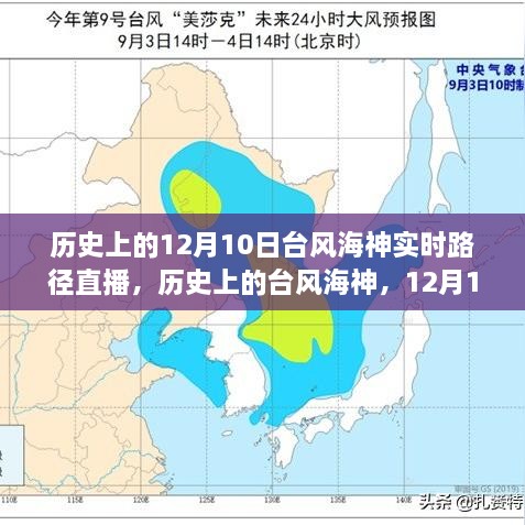 历史上的台风海神，深度探讨与实时路径直播回顾分析（附直播链接）