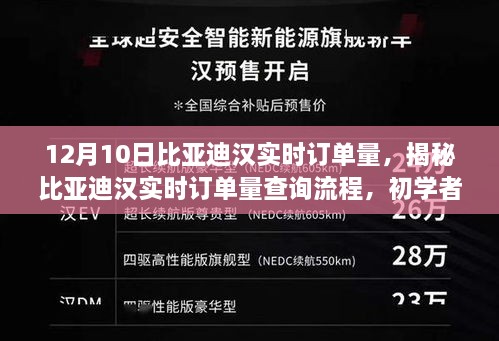 揭秘，比亚迪汉实时订单量查询流程，轻松掌握初学者查询技能（12月10日数据更新）