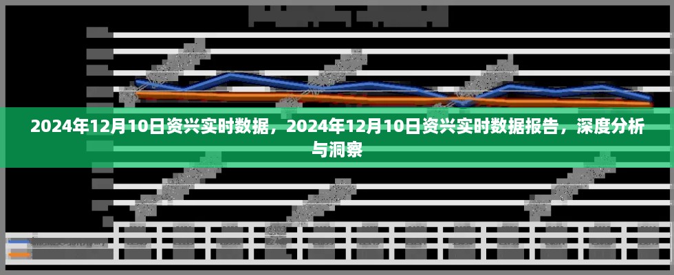 2024年12月10日资兴实时数据报告，深度分析与洞察