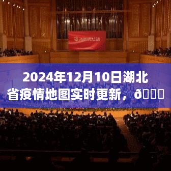 湖北省疫情地图实时更新，掌握最新防控动态，🌟2024年12月10日最新数据📈