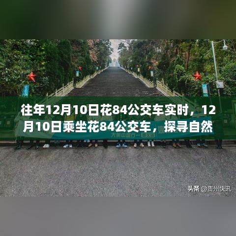 探寻自然美景的心灵之旅，12月10日花84公交车实时之旅启动！