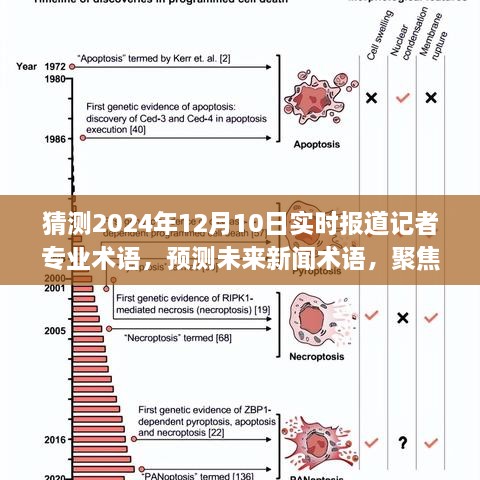 揭秘未来新闻报道术语，聚焦2024年12月10日实时报道记者的专业术语应用与预测