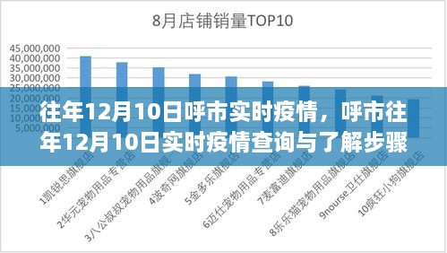 呼市往年12月10日实时疫情查询指南，初学者与进阶用户适用步骤详解